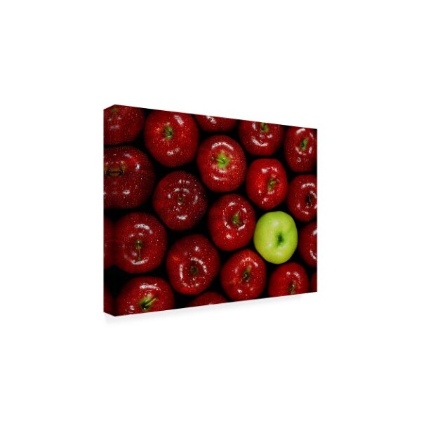 Monte Nagler 'Apples Single' Canvas Art,24x32